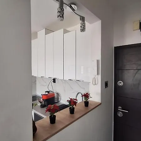 U Zemunu アパート *